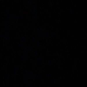 Meet your Posher, Gavin